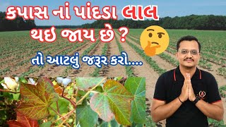 કપાસ નાં પાંદડા લાલ થઈ જાય છે ? આટલું કરશો એટલે કપાસ લાલ નઈ થાય | કૃષિ ગીતા