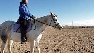 Interdressage -  Natalie Hummell \u0026 Real ZippinPicklinPatsy - Class 5A - December 2018