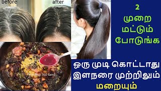 இரண்டு முறை போதும் முடி உதிர்வு நின்று நல்லா வளர ஆரம்பிக்கும்| hair fall and grey hair control tips