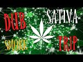 Sativa Tripping Dub Music | Cosmic Journey Deep Into Your Mind 432hz