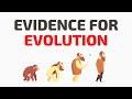 Is Evolution a Myth?