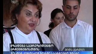 მზადება საპრეზიდენტო არჩევნებისთვის