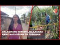 Dalagitang missing, naaagnas nang natagpuan sa tubuhan