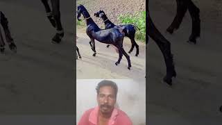 என்னமா நடக்குது பாருங்க