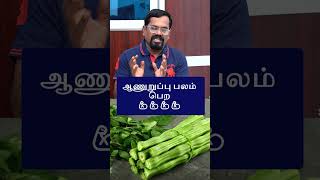 ஆணுறுப்பு பலம் பெற | ஹார்மோன்கள் அதிகரிக்க - முருங்கை |  MENS HEALTH | BODY WEAKNESS