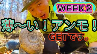 【S4】WEEK２  発見！薄っぺらいアンモナイト〇〇〇〇セラスなんかも出てるらしい。。カンパニアンか？！