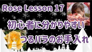 Rose Lesson 17   寒肥の与え方 1