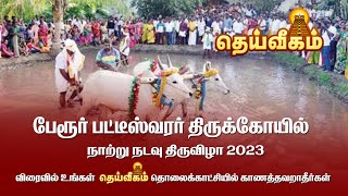 நாற்று நடவுத் திருவிழா 2023| பேரூர் பட்டீசுவரர் திருக்கோயில் | கோவை