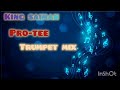 Pro - tee and king saiman trumpet album x Gqom mix 2024