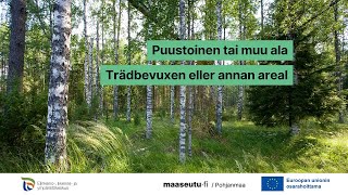 Puustoinen tai muu ala | Trädbevuxen eller annan areal