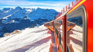 Scenic Train Grindelwald Switzerland Jungfrau region - summer \u0026 winter