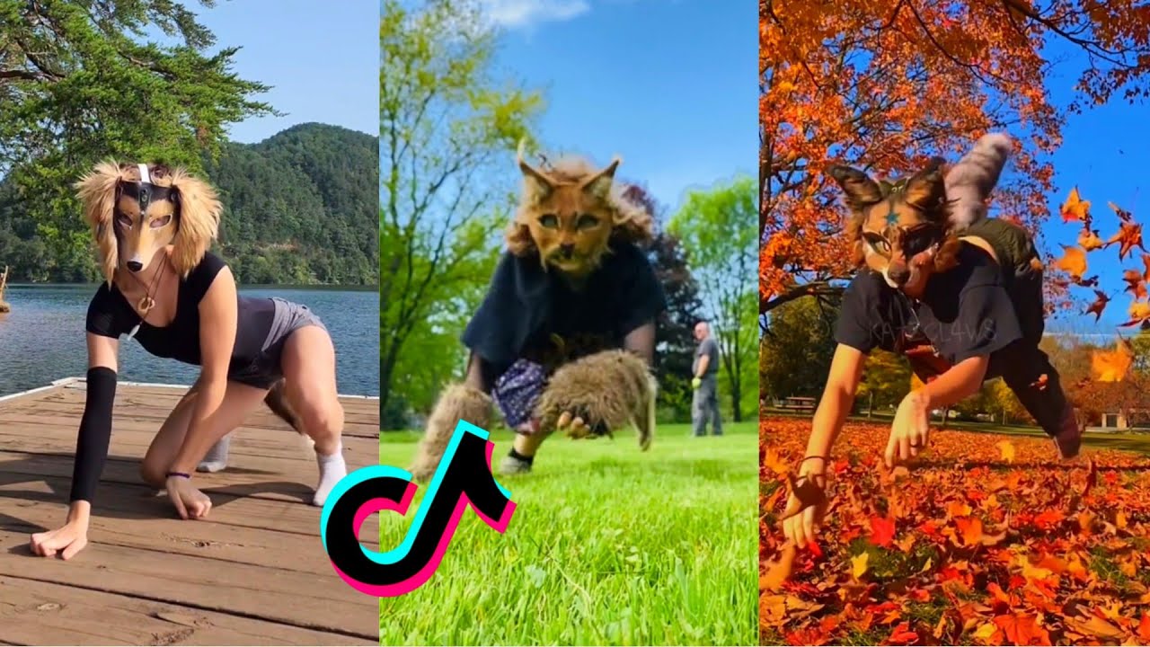 Therian Tiktok Compilation 1 Youtube