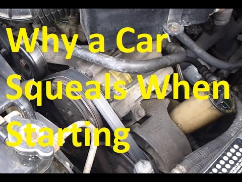 What does it mean when your car starts squealing?