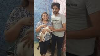 Yeh Billi Dum kyun hilati hai, Funny cat video | Funny Billi Video  #Meow #babycat #funnycats #aww