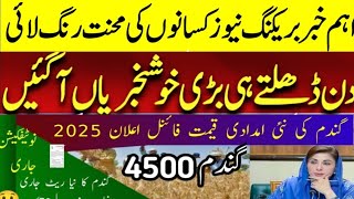 Today Wheat price in punjab//گندم کا ریٹ 2025/munji makki till sarso/Galla mandi rate today