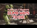 Halo: Dumb Ways to Die (Funny Moments)