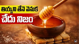 తియ్యని తేనె వెనుక చేదు నిజం | Famous Companies Mixing Sugar Syrup in Honey, Says Study | 10TV News