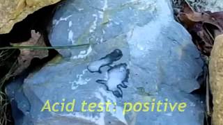 Acid Test