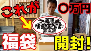 【お得情報あり】クワカブ【2021】年末の昆虫福袋…開封で凶暴すぎるクワガタムシが…