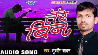 ओ सनम ओ सनम - Tere Bin - Surdeep Sawan - Bhojpuri Sad Song 2021