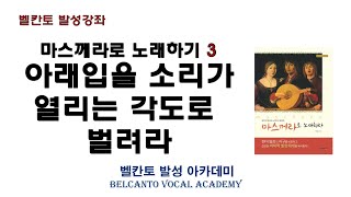 벨칸토 발성강좌 - 마스께라발성으로 열고 노래하기 3 : 아래입을 소리가 열리는 각도로 벌려라