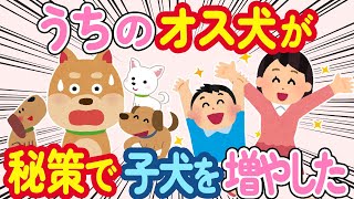 【2ch ほっこり】うちの犬が1日で子犬をまさかの方法で増やした結果www