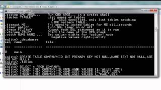 SQLite Tutorial - Insert Update Delete Query