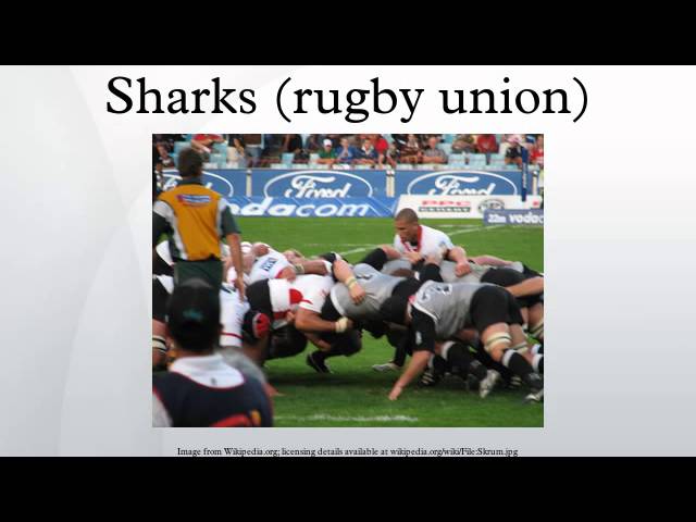Sharks Rugby Union