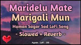 Maridelu Mate Marigali Mun - Slowed + Reverb - Human Sagar Sad Song