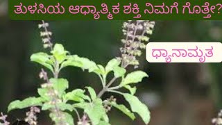 ತುಳಸಿಯ ಆಧ್ಯಾತ್ಮಿಕ  ಶಕ್ತಿ ನಿಮಗೆ ಗೊತ್ತೆ?? DO YOU KNOW SPIRITUAL ENERGY OF TULASI PLANTS