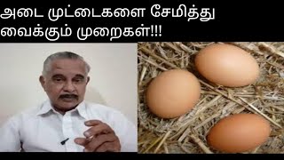 How to safeguard eggs|அடை முட்டைகளை சேமித்து வைத்தல் மற்றும் பாதுகாக்கும் முறைகள்