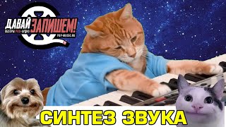 Синтез звука. Просто о сложном на примере Behringer CAT