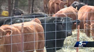 Price of beef could be going up at Oklahoma stores