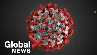 COVID-19: New coronavirus given name by World Health Organization