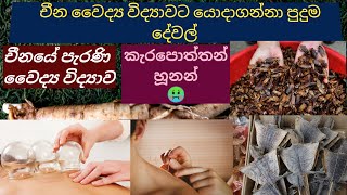 🐲Dragon Voice🐲චීන වෛද්‍ය විද්‍යාවේ භාවිතවන අපූරු දේවල්/Amazing things used in chinese medicine