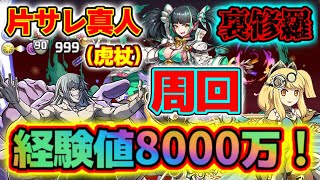 【片サレ】1周経験値約8000万！裏修羅(裏魔門)を片サレ真人×虎杖で周回しよう！！！【パズドラ】【呪術廻戦】