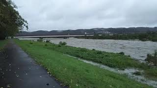 台風19号上陸前なのに既に増水する多摩川