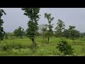 amarkantak mountainsrange a meeting point of the vindhya and the satpura ranges