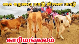 10-7-2024 கை கறவை மாடு சினை மாடு விற்பனை காரிமங்கலம் மாட்டு சந்தை தருமபுரி மாவட்டம்