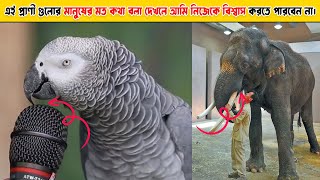 এই প্রাণী গুলোর কথা বলা দেখলে আপনি নিজেকে বিশ্বাস করতে পারবেন না।Animals who can talking like human