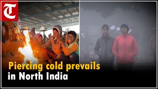 Haryana, Punjab continue to reel under intense cold; Chandigarh records 11.3 deg C