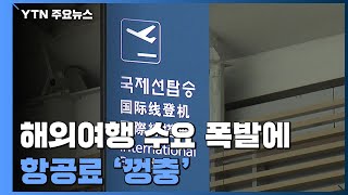 해외여행 수요 폭발에...'너무 비싸진' 항공료 / YTN