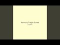 Harmony Fragile Sunset