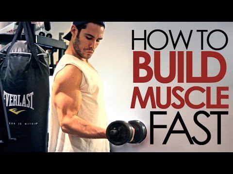 How to Build Muscle (5 Easy Steps) How to Build Muscle (5 Easy Steps)