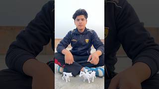 Big and Small Remote Control Cow 🐄 unboxing 🔥