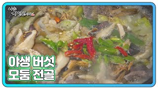 ＜자연밥상＞ 야생 버섯 모둠 전골 MBN 241218 방송