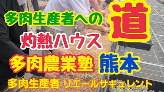 【多肉植物】【ガーデニング】多肉生産者への道‼️灼熱ハウス(笑)多肉農業塾❗熊本‼️2023年6月29日