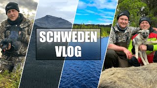 Unsere Schwedenreise hinter den Kulissen - Drohnen, Elchjagd und atemberaubende Momente - VLOG