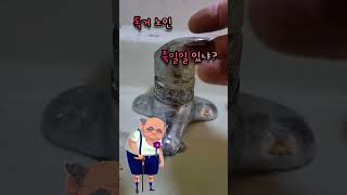 힘든 일 마치고  집에 들어와 보니 #tiktok #쪼루 #단수