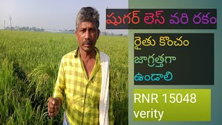 Sugar fee verity cultivation agriculture RNR15048